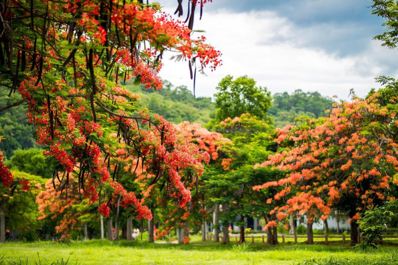 Diamond Hill Resort Nong Nam Daeng Ngoại thất bức ảnh